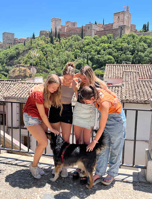 A group of students petting a dog.